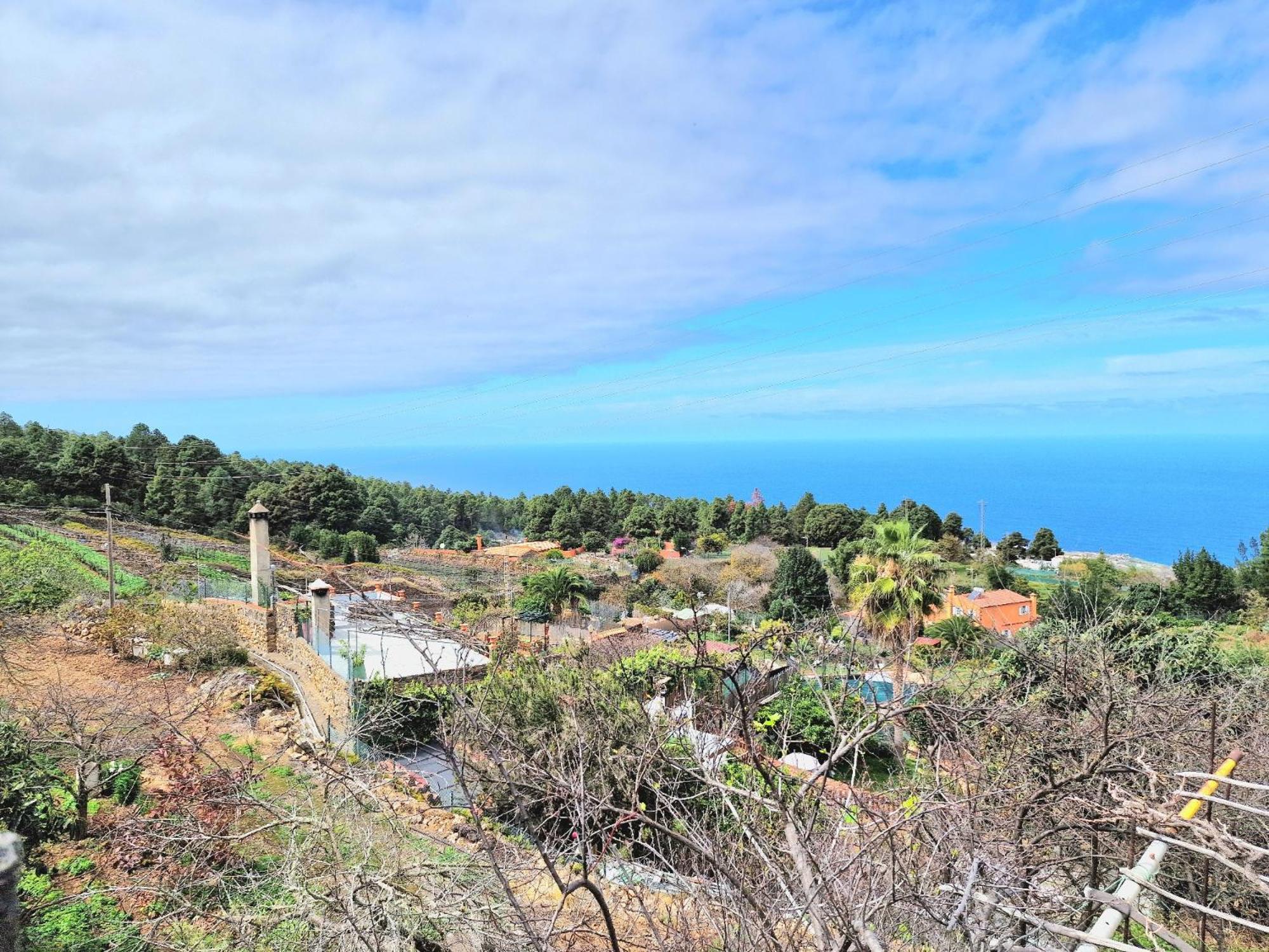 Casa Canaria Drago In Icod De Vinos By Hrtenerife Net *